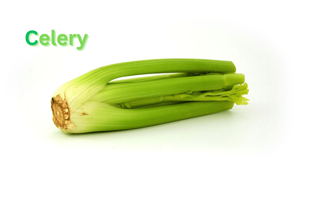 Things you should know before running celery in Production (Part I)
